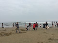 -东海岛旅游度假区