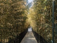-红螺寺
