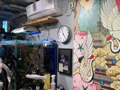 -MDZ STORE·TATTOO·耳饰