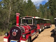 -五营红松林海景区