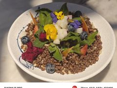 -唐猫庭院·千年陕菜(大唐不夜城店)