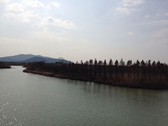 iphone_upload_pic-苏州太湖国家湿地公园
