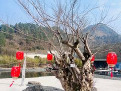 -中国宣纸文化园
