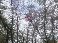-范蠡湖公园