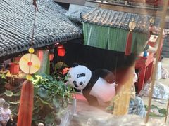 -小龙翻大江文化火锅(宽窄店)