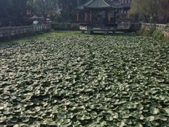 iphone_upload_pic-黄埔古港