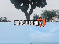 -小麦岛公园