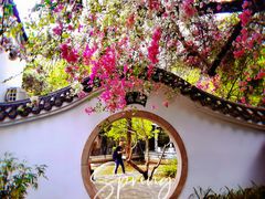 -深圳国际园林花卉博览园