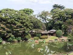 -东京国立博物馆