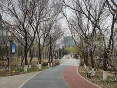 -大兴滨河森林公园