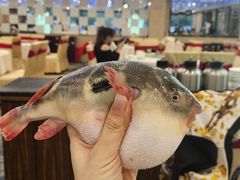 -味雅大酒店