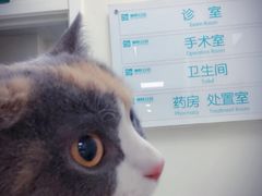 -美联众合爱康动物医院•复杂内科•肿瘤科•牙科•腔镜诊疗中心