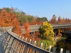 -福道
