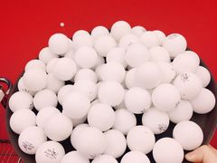 -大凤凰乒乓球馆