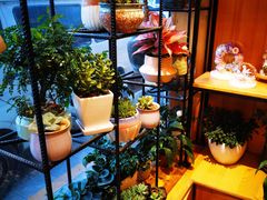 -爱尚幸福鲜花(上地实体店)