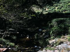 -龙井壹号·茶缘山景宴(龙井村店)