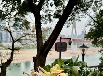 救命！这家藏在解放碑的老火锅也太戳心巴了