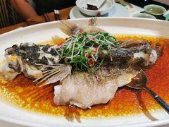 -荷风细雨·中国茶宴(碧云店)