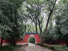 -灵谷景区