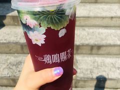 -鸡鸣赐茶(鸡鸣寺路店)