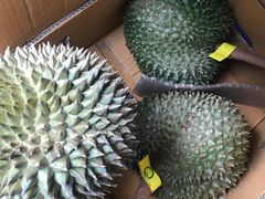 -西郊国际农产品交易中心
