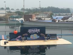 -秦皇岛乐岛海洋王国