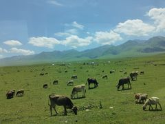 -新疆那拉提国家旅游度假区