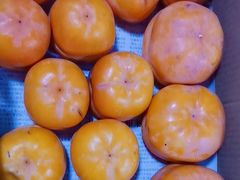 -示范集贸市场