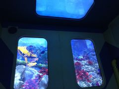 -珠海横琴国家地理探险家中心(创新方)