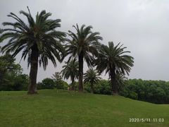 -美兰湖景区