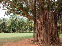 -白沙门生态公园