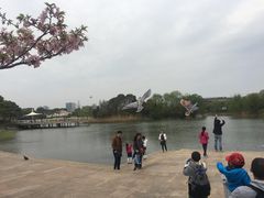 -新江湾城公园