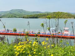 -佛手湖郊野公园