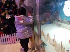 -Mr·Kuma酷么先生雪之乐园
