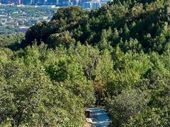 -北京西山国家森林公园