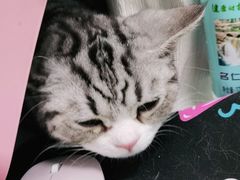 -宠福鑫康馨动物医院·骨科·眼科