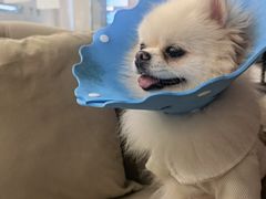 -怪兽屋·羊驼·猫咖·狗咖(俊华广场店)