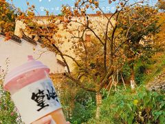 -篁岭景区