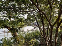 -乌镇东栅景区