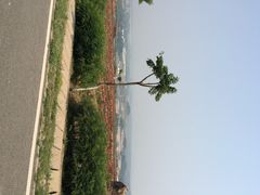 密云玫瑰情园-密云玫瑰情园