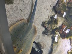 -嘉兴海底世界