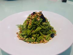一品松针芽-一品滇香·云南菜(公益西桥店)