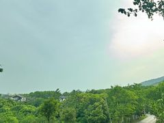 -石塘人家