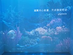 -新世界大丸百货