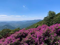 -广州市石门国家森林公园
