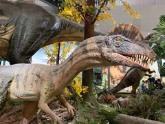 -湖南省地质博物馆