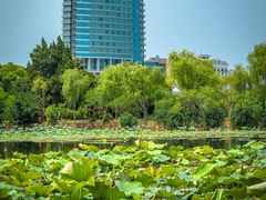 -无锡蠡湖国家湿地公园-蠡园