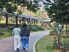 -映月湖公园