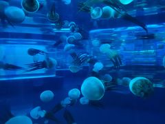 -石林冰雪海洋世界