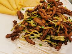 -鑫巴蜀小镇 · 水煮鱼专研店(玉桥店)